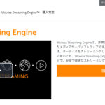 Wowza Streaming Engine