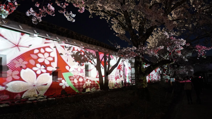 姫路城夜桜会「千姫の桜、光の戯れ」