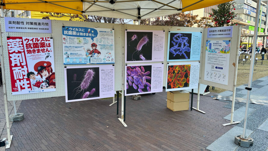 11月は薬剤耐性 対策推進月間です